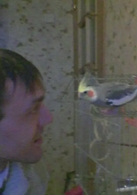 Я Сергей, 47, из Чехова, ищу знакомства без обязательств