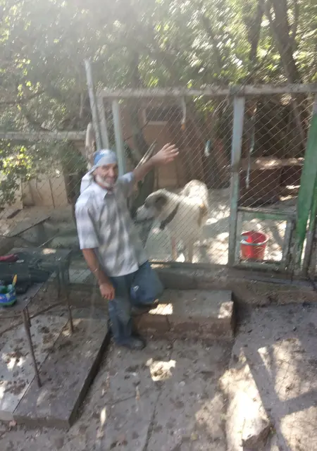 Рустем из Севастополя, ищу на сайте знакомства на одну ночь