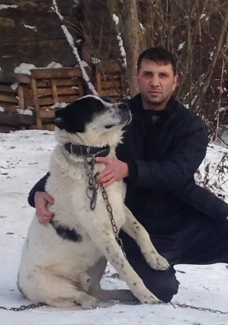 Я Рифат, 49, знакомлюсь для открытые отношения в Вологде