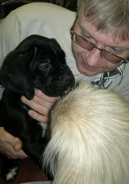 Я Алексей, 54, знакомлюсь на одну ночь в Фрязине