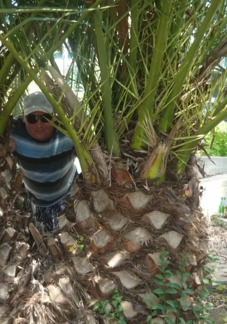 Я Александр, 51, знакомлюсь без обязательств в Ноябрьске