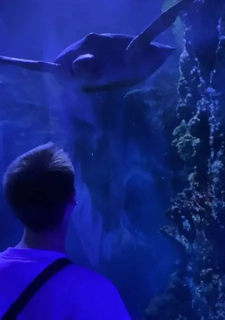 Я Александр, 25, из Москвы, ищу знакомство для общения