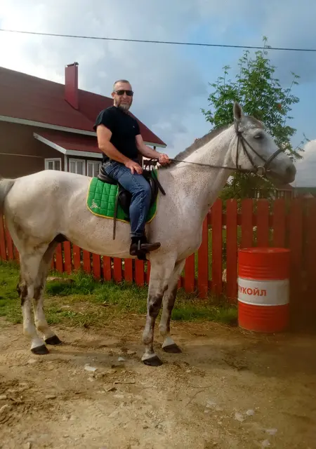 Захар из Вологды, мне 55, познакомлюсь для открытые отношения