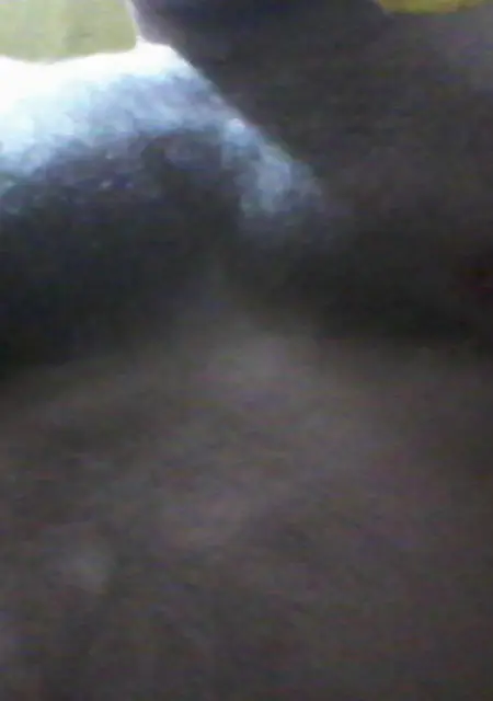 Я Sawa, 43, из Новочеркасска, ищу знакомства без обязательств